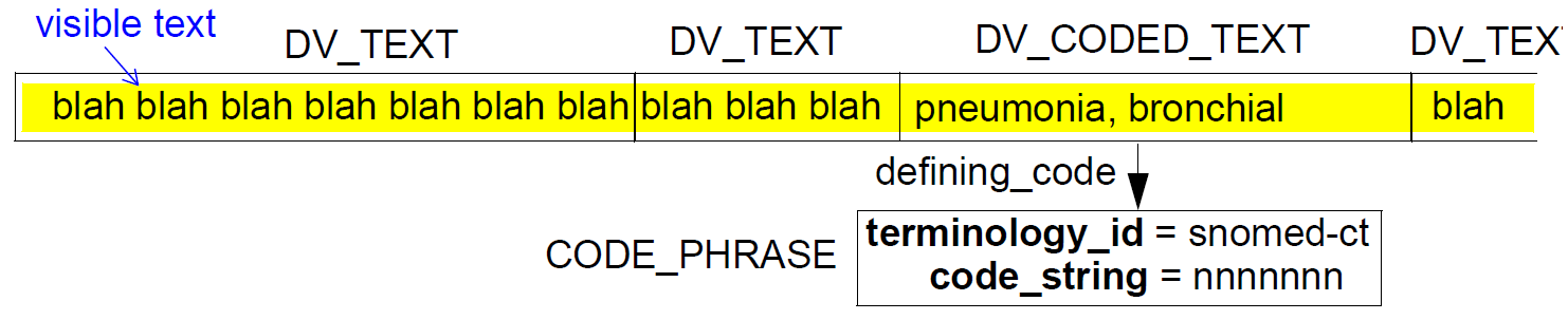 图5. DV_PARAGRAPH